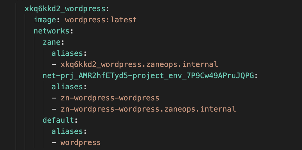 ZaneOps added networks to compose